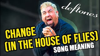 SONG MEANING Deftones Change In The House Of Flies [upl. by Ramgad194]