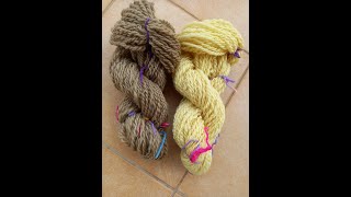 NATURAL YARN DYEING USING PARSLEY amp SPINACH [upl. by Spragens]