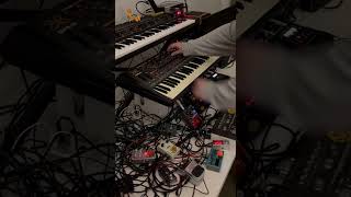 Live with Quasimidi Sirius Elektron Digitakt Behringer TD3 Jomox Mbase amp more 11 techno [upl. by Eetnom]