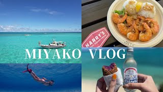 【宮古島vlog】2 日本のグレートバリアリーフへ！海外っぽいスポット発見 [upl. by Newcomer882]