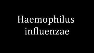 How to pronounce Haemophilus influenzae [upl. by Mcmullan]