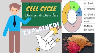 CELL CYCLE DISEASES AND DISORDERS [upl. by Anole]