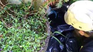 Chimney Sweep Cleaning Creosote Buildup at Clean Out Door [upl. by Mairb]