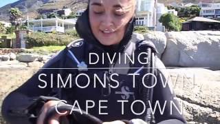 DIVING IN CAPE TOWN [upl. by August]