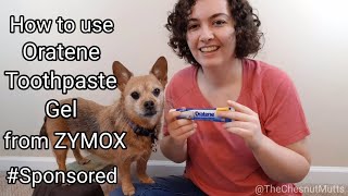 How to Use Oratene Toothpaste Gel from ZYMOX Sponsored [upl. by Reinhold]