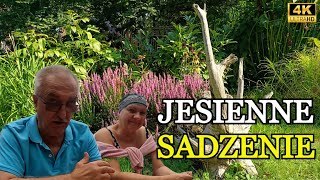 46 JESIENNE SADZENIE jesień kwiaty ogród [upl. by Schober]