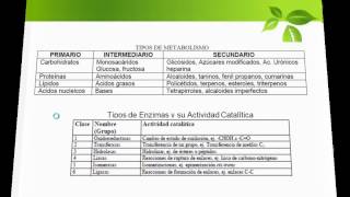 Metabolismo Vegetal Metabolitos Primarios y Secundarios [upl. by Retxed]