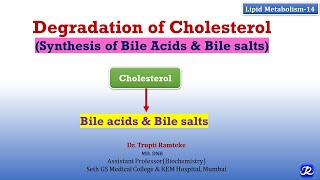 14 Cholesterol Degradation  Lipid Metabolism14  Biochemistry  NJOY Biochemistry [upl. by Mccutcheon994]