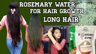 How to make rosemary water  how to apply rosemary  Rosemary benefits or harms  long hair tips [upl. by Neik]