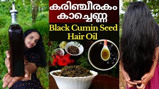 Karinjeerakam Hair Oil preparation❤Black cumin seed oil for hairgrowth❤Karkkidagham special Kachenna [upl. by Aninad]