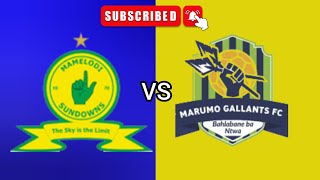 Mamelodi Sundowns vs Marumo Gallants FC South Africa Premier Soccer League Football Match Today Live [upl. by Gefell]