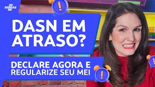 Como DECLARAR a DASN em ATRASO 🤔️ DESCUBRA como fazer e DEIXE seu MEI em dia ❌ EVITE maiores MULTAS [upl. by Berk]