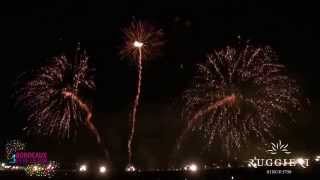 Bordeaux Fête le vin 2014  Spectacle Pyrotechnique France  Ruggieri [upl. by Wurtz]