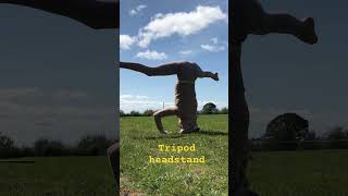 Tripod headstand Sirsasana yoga play yoga practice wellness [upl. by Griselda]