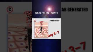 Tattoo Healing Process [upl. by Rihat]