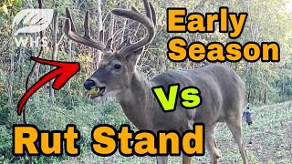 Whitetail Rut Stand Vs Early Season Stand [upl. by Haisi]