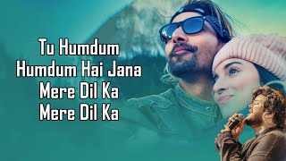 Humdum LYRICS  Vishal Mishra  SAVI  Raj Shekhar  Harshvardhan  Divya khosla  Anil Kapoor [upl. by Yorke]