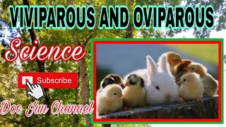 VIVIPAROUS and OVIPAROUS ANIMALS  Science for kids [upl. by Ennyrb690]