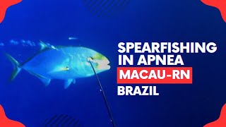 🎣 SPEARFISHING IN APNEA  MACAURN BRAZIL 🌊🐟 spearfishing fishing submarinefishing [upl. by Fredelia]