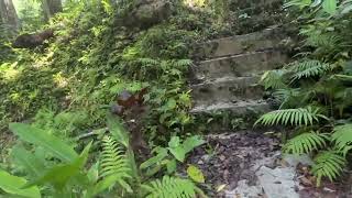 Abandoned Spring Fed Public Swimming Pool in Bohol Philippines [upl. by Adahs]