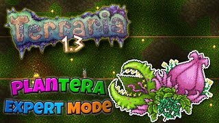 Terraria 13  Expert Mode Funny Moments and Fails 19 [upl. by Goldwin]