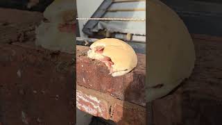 Bricklayer working while trying to eat bacon sandwich on the line bacon satisfying construction [upl. by Dudley58]