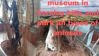 Horsley Hills Museum amp Park All Types of Animals amp Hiding Places [upl. by Shalom]