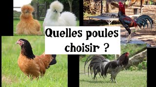 Quelles poules choisir [upl. by Downes]