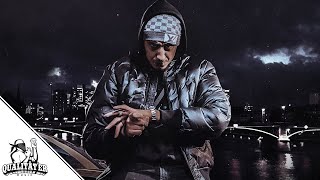 RAMO  GANGSTERRAPIKONE OFFICIAL QUALITÄTER VIDEO [upl. by Iveson]