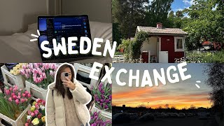 life as an exchange student  linköping university sweden [upl. by Lily]