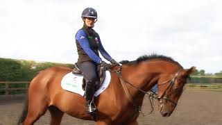 Training the Young Horse for Eventing  Gridwork [upl. by Lauryn]