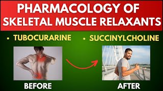 28 Skeletal Muscle Relaxants Pharmacology in தமிழ் [upl. by Vernon]