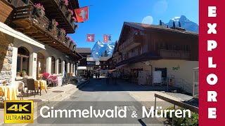 EXPLORE Gimmelwald amp Mürren alpine towns above Lauterbrunnen valley 🇨🇭 4K Walk [upl. by Ellinet]