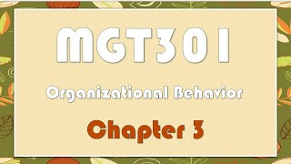 MGT301 Organizational Behavior  chapter 3 quotsamplequot [upl. by Boar]