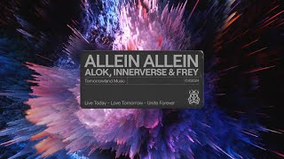 ALOK INNERVERSE FREY  Allein Allein Official Audio [upl. by Calbert]