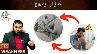 جسم کی کمزوری کا علاج  Dr Fahim Herbalist [upl. by Norah]