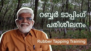 റബ്ബർ ടാപ്പിംഗ് പരിശീലനം Rubber Tapping Training Overview  Channel Introduction [upl. by Yeneffit658]