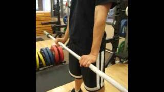 Standing Overhand Grip Wrist Curl and Extension [upl. by Wanonah]