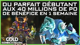 GUIDE DE DÉBUTANT AUX 40 MILLIONS DE PO DE BÉNÉFICE PAR SEMAINE  WOW SHADOWLANDS GOLD FARM FR [upl. by Llewkcor]