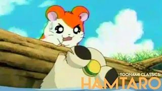 Toonami Classic Hamtaro [upl. by Ardnalak]