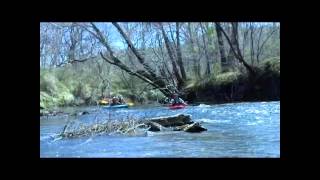 Johns River Kayak  April 5 2014 [upl. by Odille]