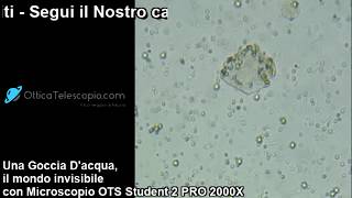 Una Goccia Dacqua al Microscopio Biologico OTS Student 2 PRO 2000X [upl. by Akino]