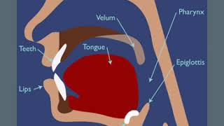 Dysphagia Therapy App Preview [upl. by Plume]