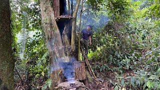 Make a shelter in a tall tree to survive [upl. by Attenwad]