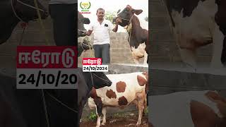 Big size cow vivasayaarvalargal shorts [upl. by Ilac]