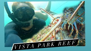 Free Dive Vista Park Reef  Fort Lauderdale Florida [upl. by Nodyroc108]