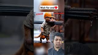 Cute cat tabell  nice video [upl. by Anirtal]