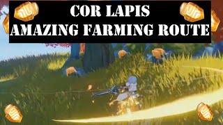 cor lapis Genshin impact  Best Farming route locations Guide [upl. by Domash]