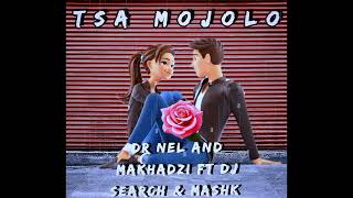 TSA MOJOLO Dr Nel and Makhadzi ft Dj Search amp Mashk [upl. by Enileve]