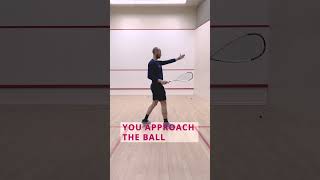 Forehand volley cross court nick shorts [upl. by Demp]